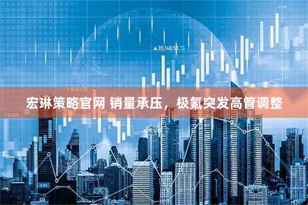 宏琳策略官网 销量承压，极氪突发高管调整