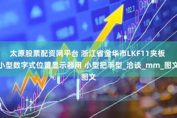太原股票配资网平台 浙江省金华市LKF11夹板 小型数字式位置显示器用 小型把手型_洽谈_mm_图文
