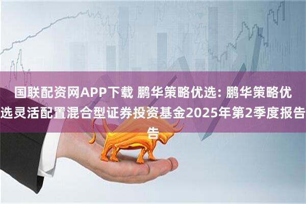 国联配资网APP下载 鹏华策略优选: 鹏华策略优选灵活配置混合型证券投资基金2025年第2季度报告